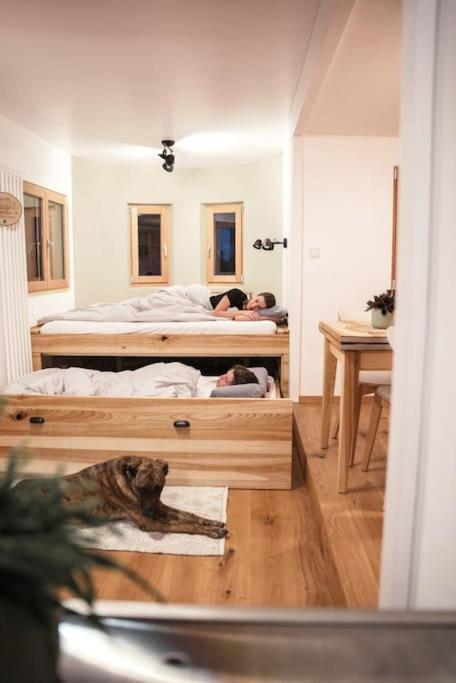 Wohnwagon Paul - Autarkie Erleben! - Tiny House Βίλα Oberschneiding Εξωτερικό φωτογραφία